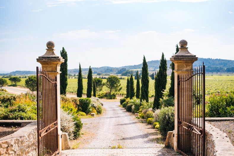 Our wines: between the sea and the mountains